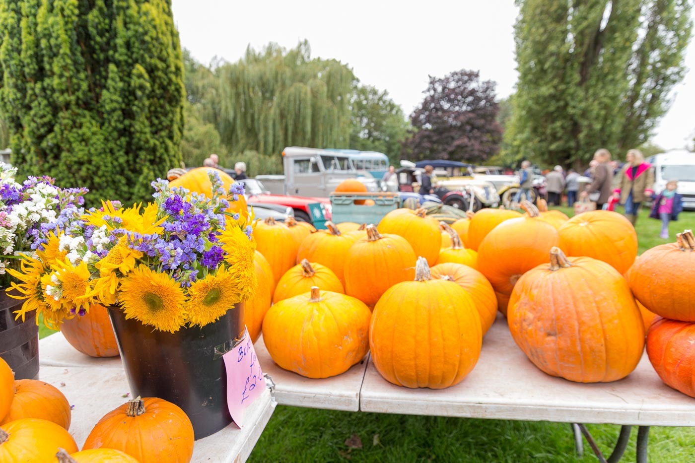 Tenbury Applefest is back! Tenbury Applefest 2021 on the Burgage